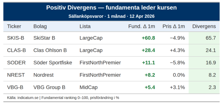 SkiStar B stärker fundamenta med 61 poäng – varför står kursen still
