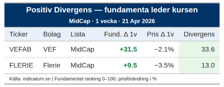 VEF förbättrar fundamenta men kursen backar