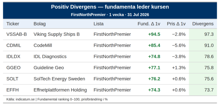 Viking Supply Ships B stärker fundamenta med 94 poäng – varför står kursen still